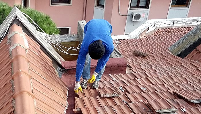 Kadıköy Çatıcıları